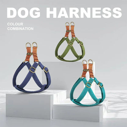 Personalized Harness