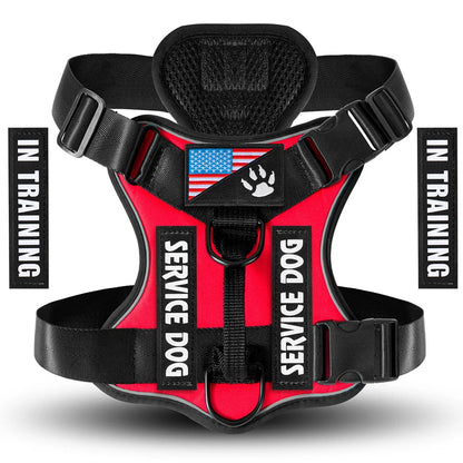 Reflective Harness