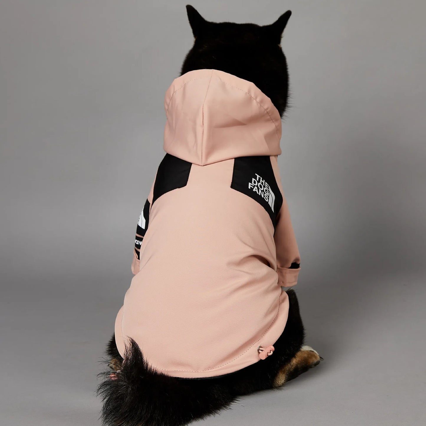 The Dog Face Raincoat