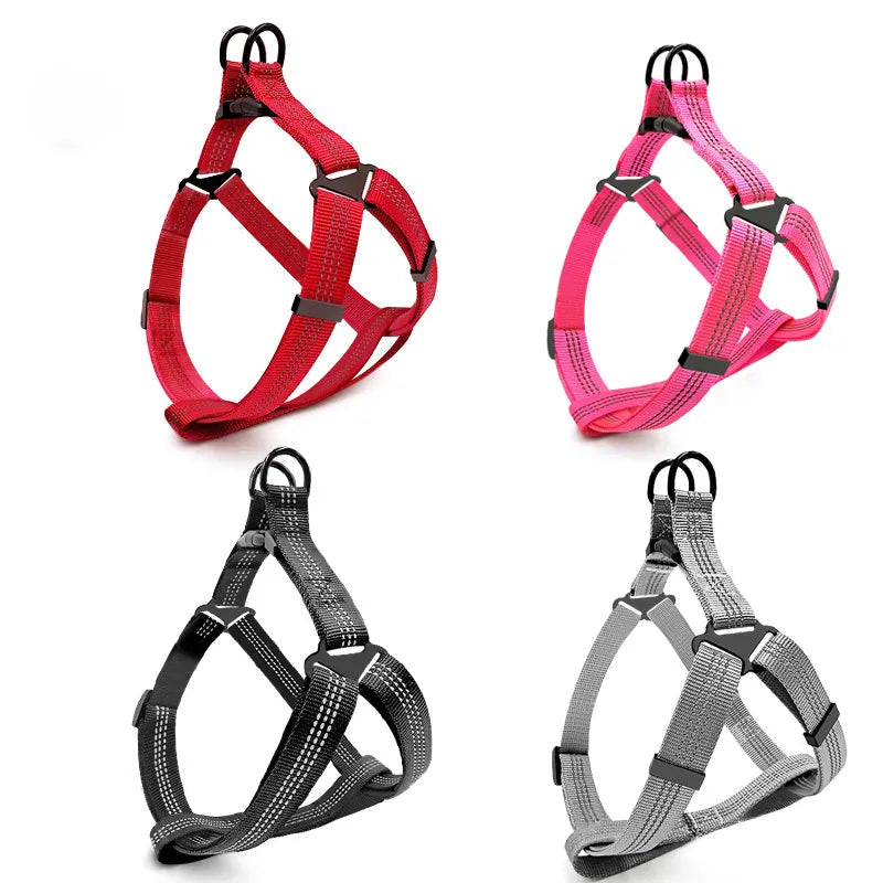 Reflective Harness