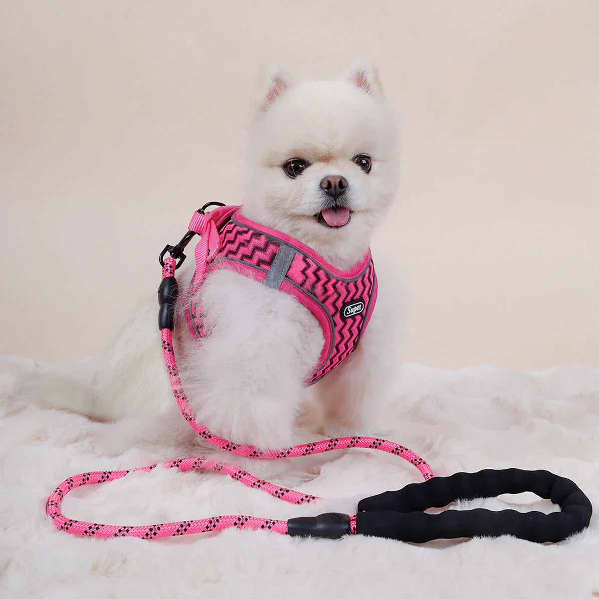Striped Harness