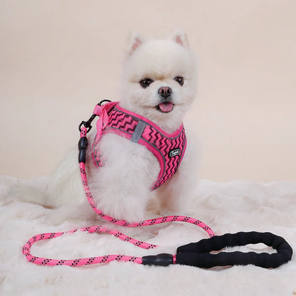 Striped Harness