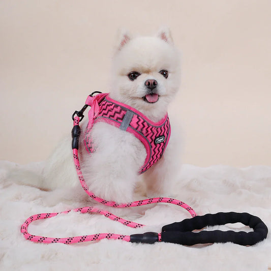Striped Harness