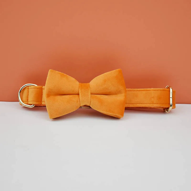 Adjustable Collar & Leash