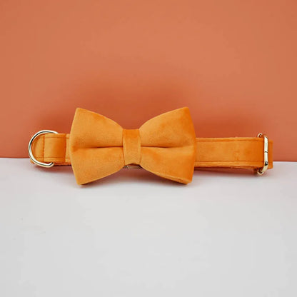 Adjustable Collar & Leash