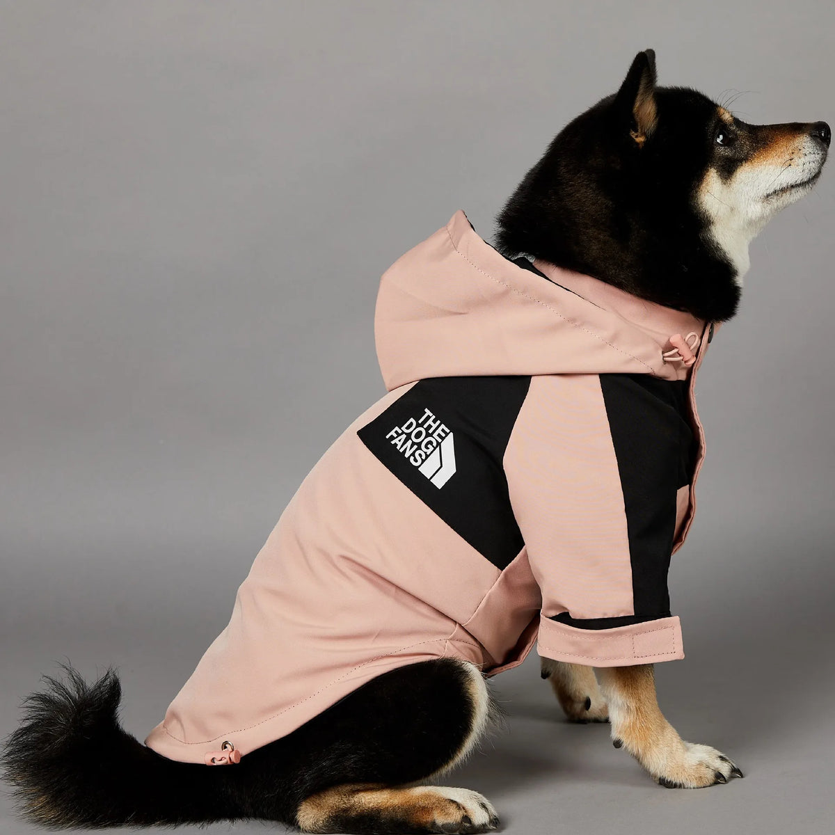 Rainproof Windbreaker