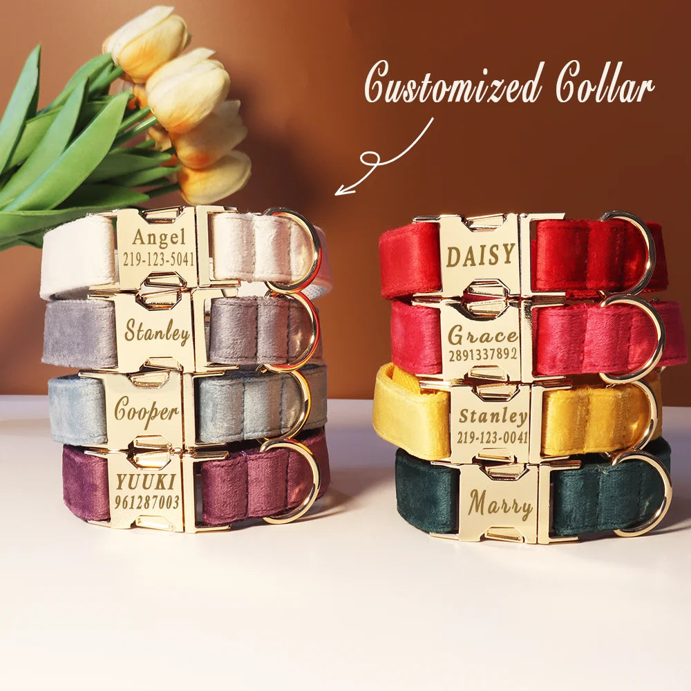 Personalized Collar