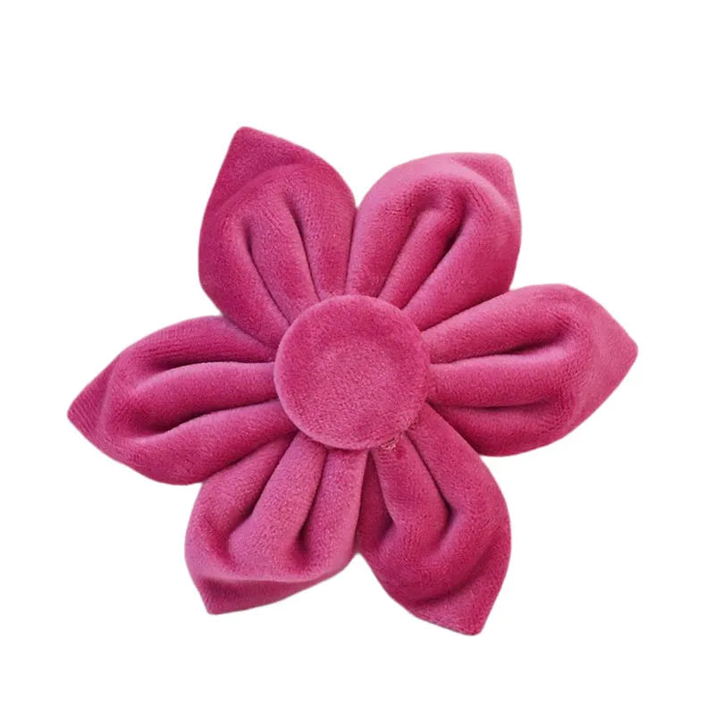 47874002420059|47874002452827|47874002485595|47874002518363|47874002551131