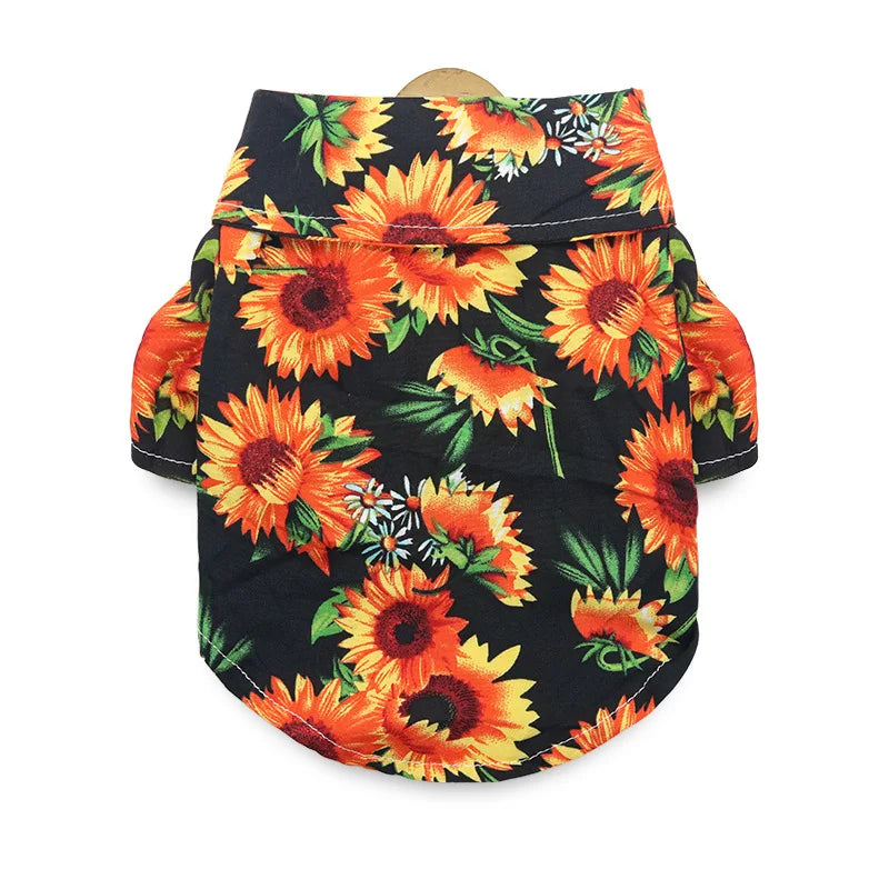 48293547278683|48293547311451|48293547344219|48293547442523|48293547475291