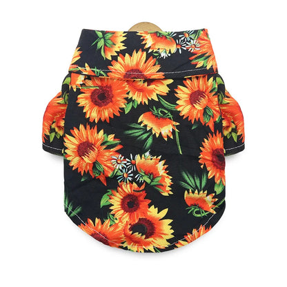 48293547278683|48293547311451|48293547344219|48293547442523|48293547475291