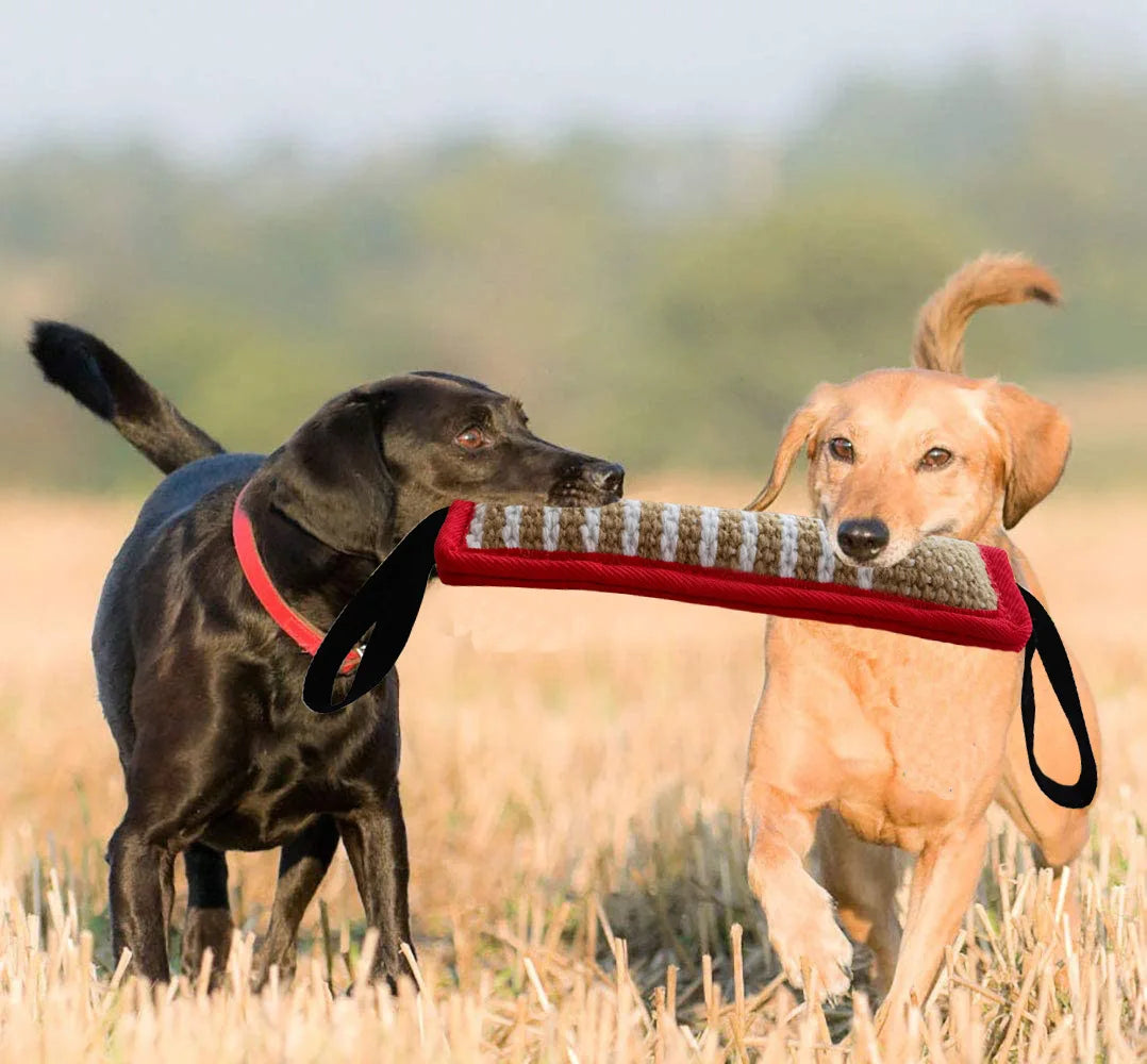 Durable Stick Toy