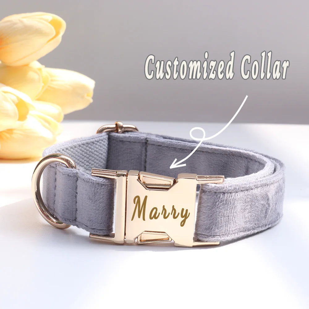 Personalized Collar