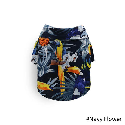 48293550883163|48293550915931|48293552095579|48293552161115|48293552193883|48293552226651|48293552259419|48293552292187|48293552324955