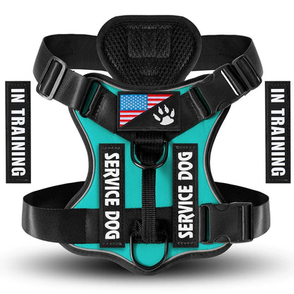 Reflective Harness