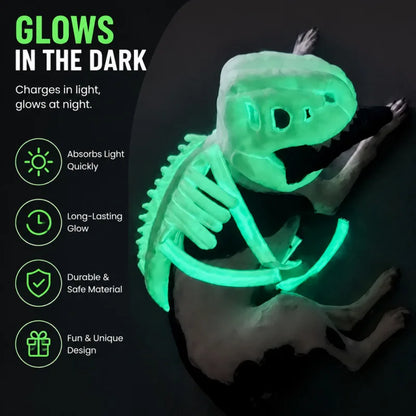 Glow Dino Bodysuit