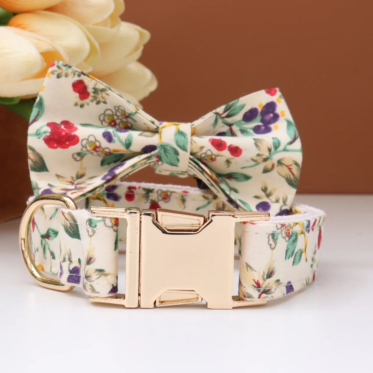 Custom Collar & Leash