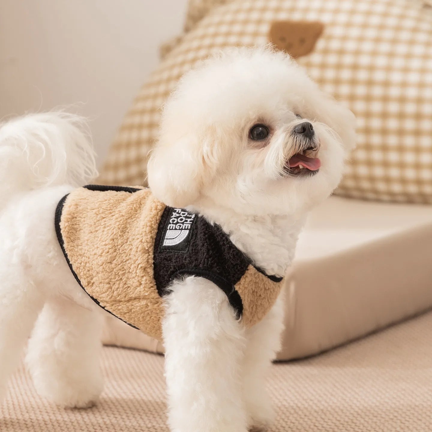 The Dog Face Jacket