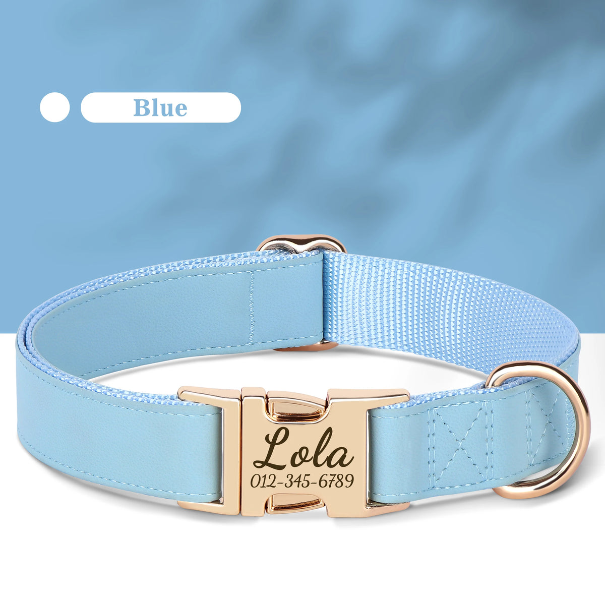 Engraved Leather Collar