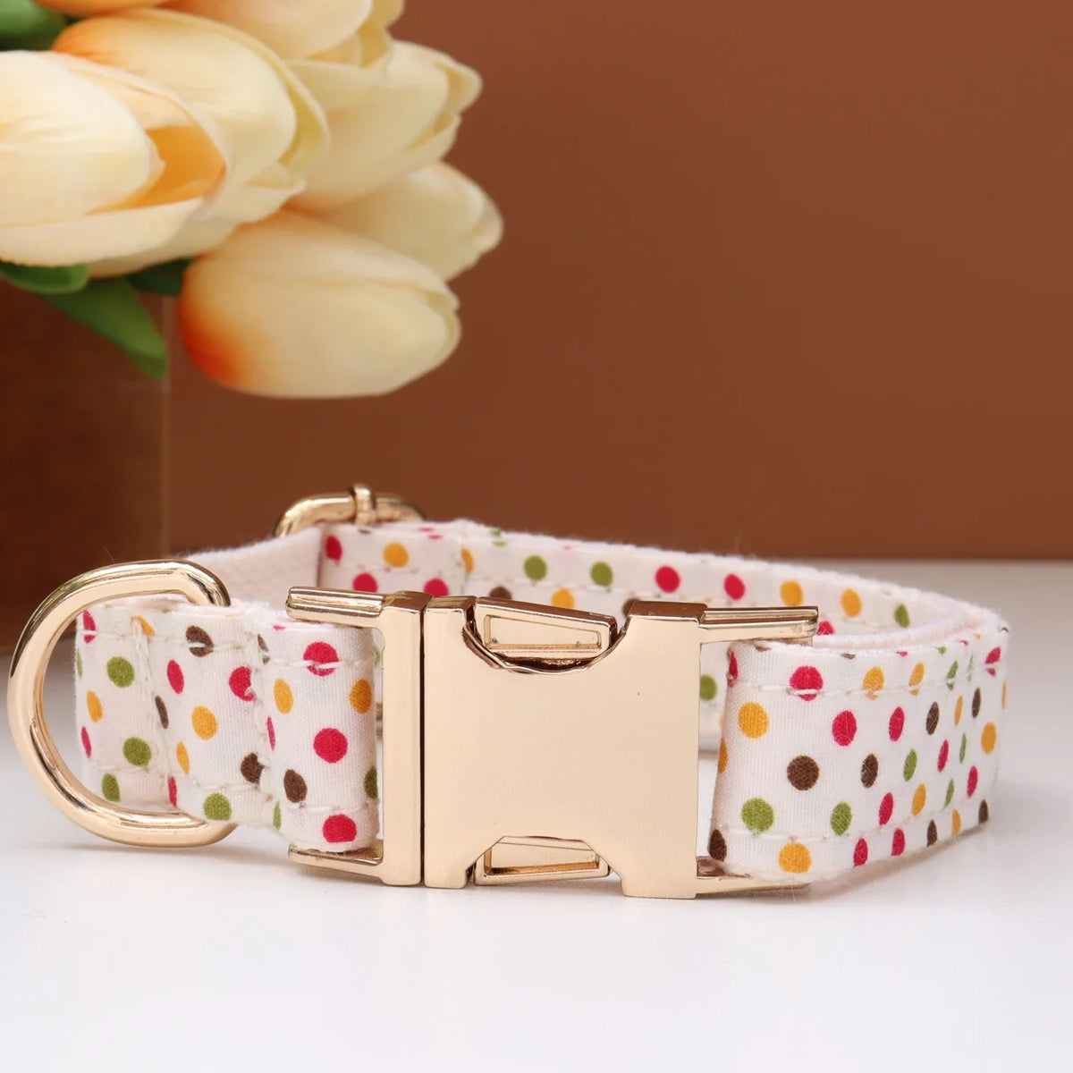 Custom Collar & Leash