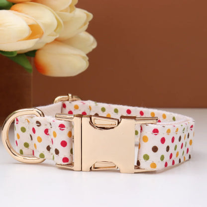 Custom Collar & Leash