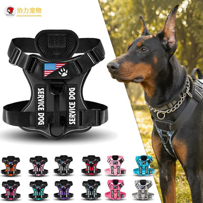 Reflective Harness
