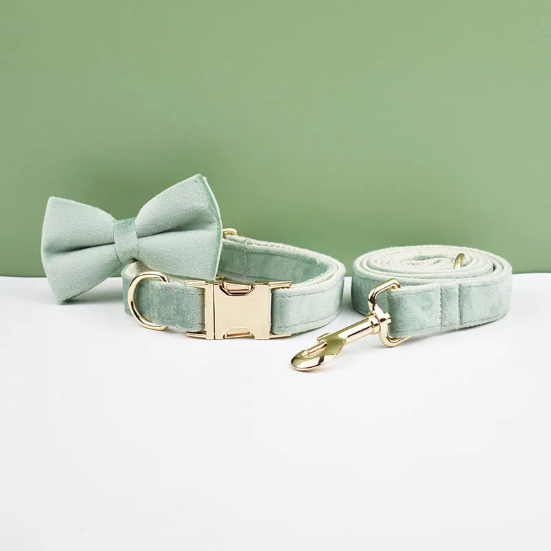 Adjustable Collar & Leash