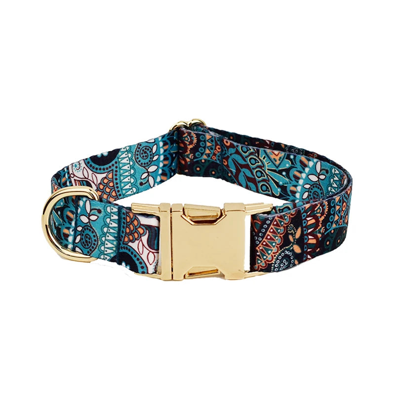 Ethnic Collar & Leash