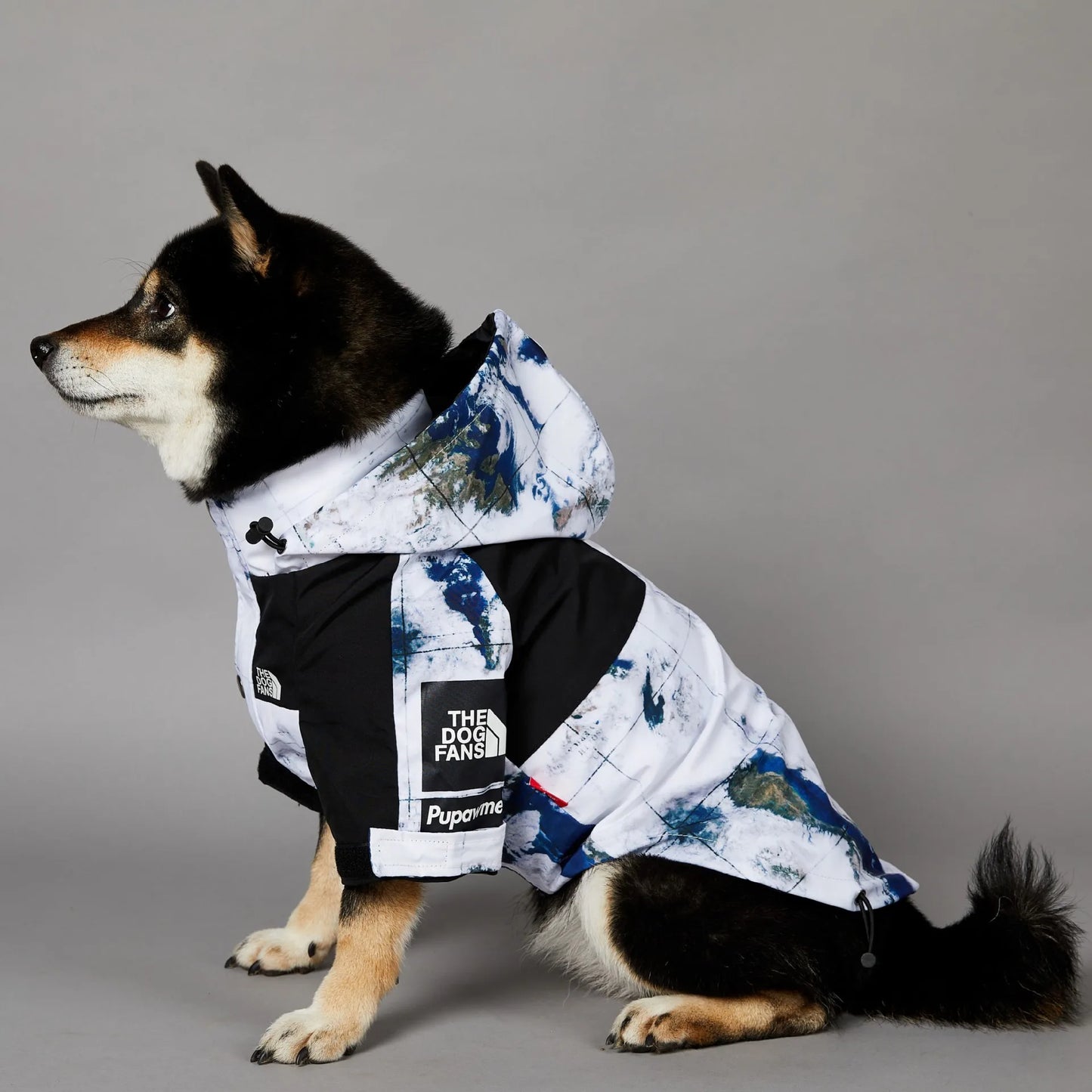 The Dog Face Raincoat