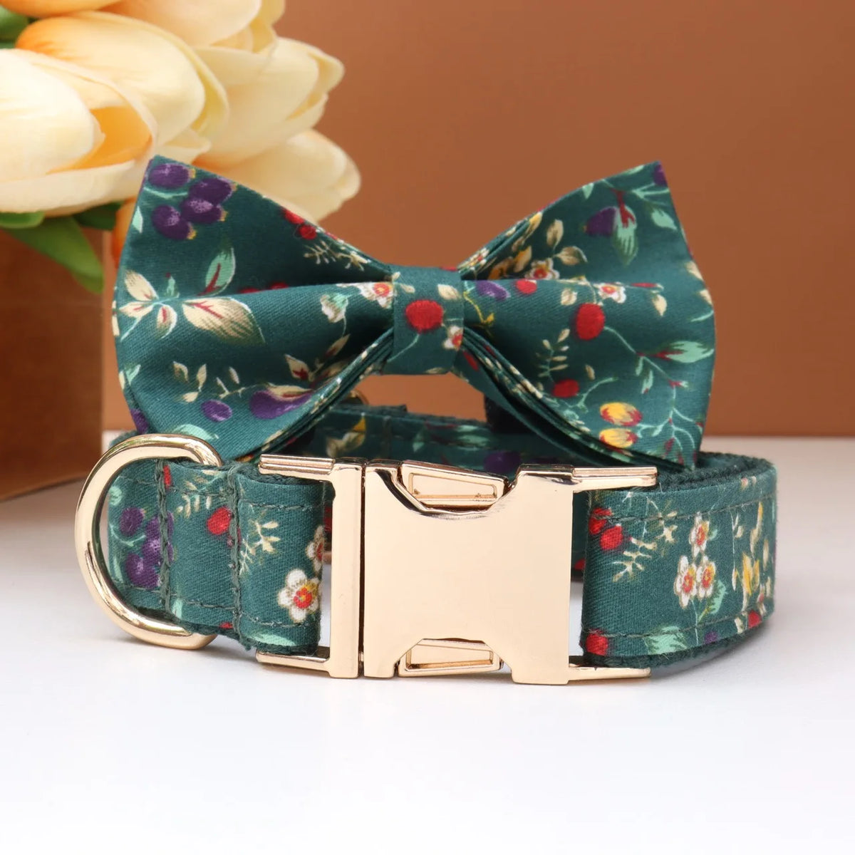 Custom Collar & Leash