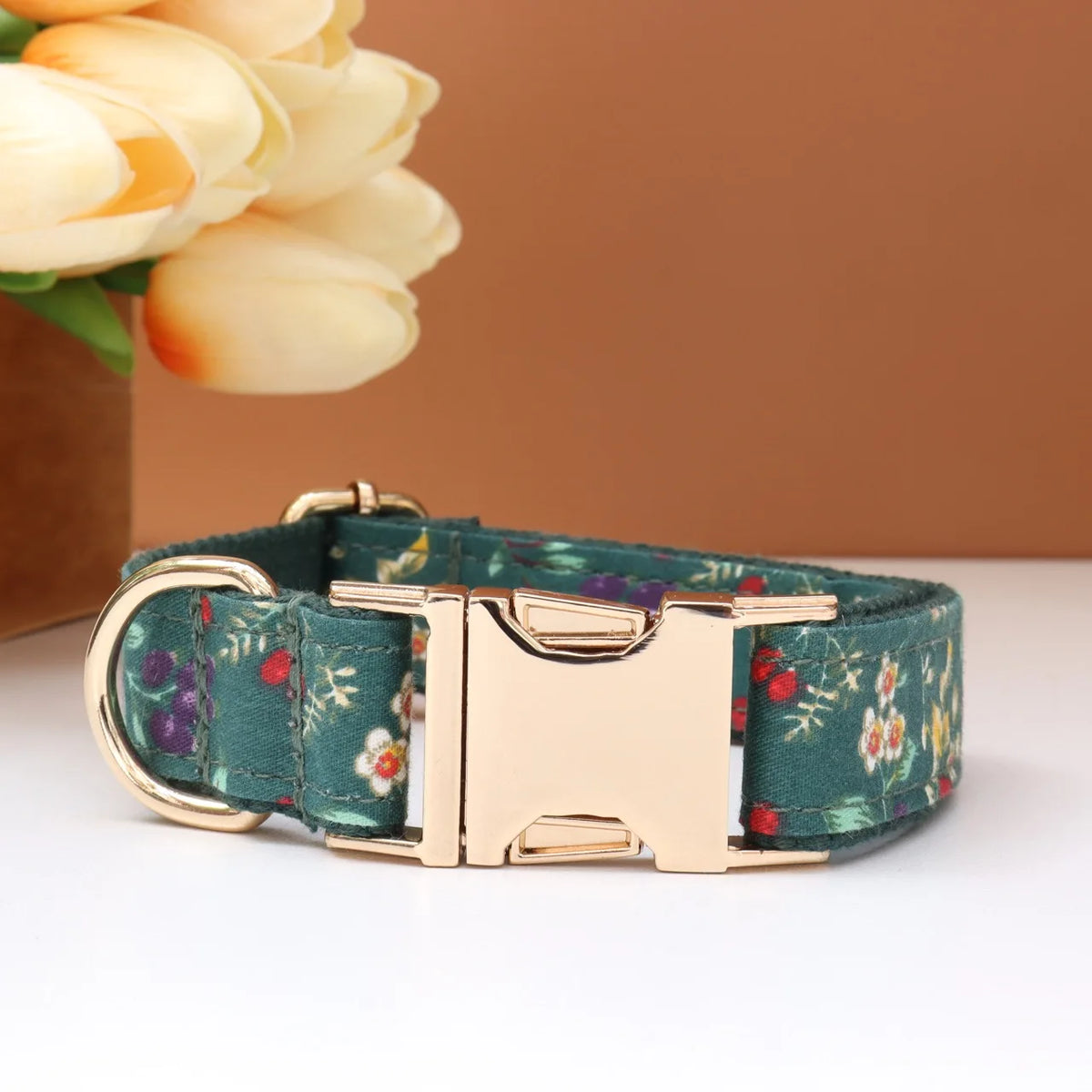 Custom Collar & Leash