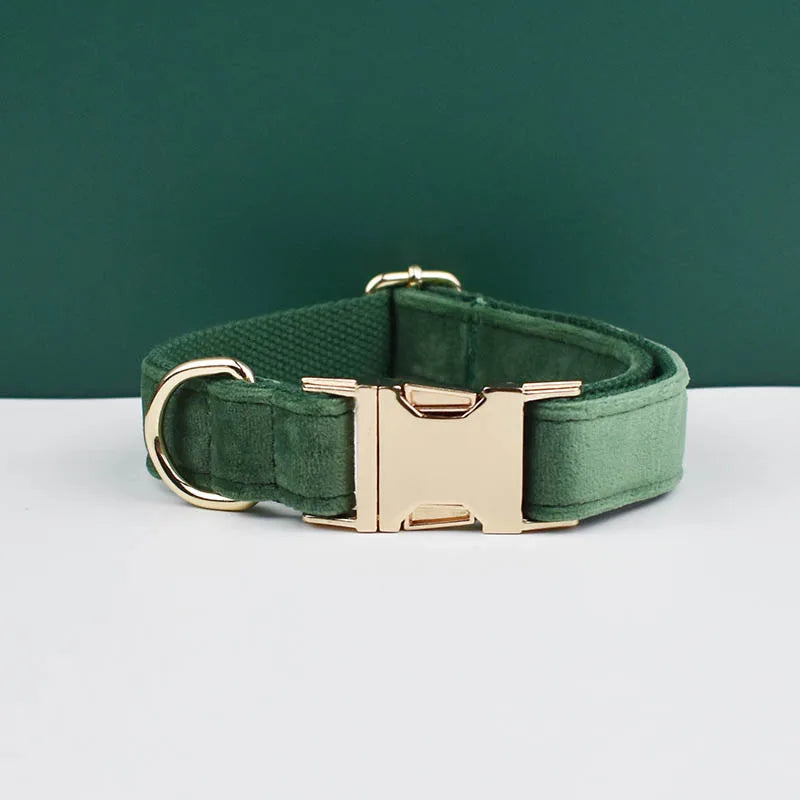 Adjustable Collar & Leash
