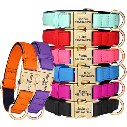 Personalized Nylon Collar