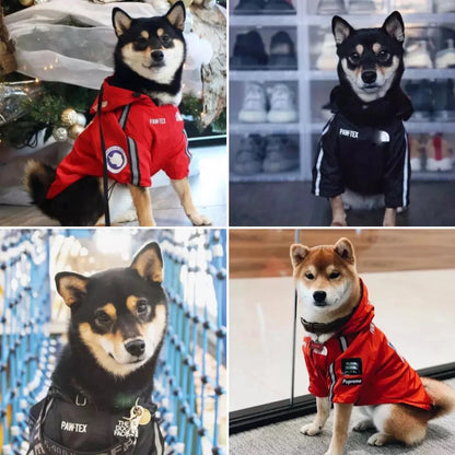 The Dog Face RaIncoat