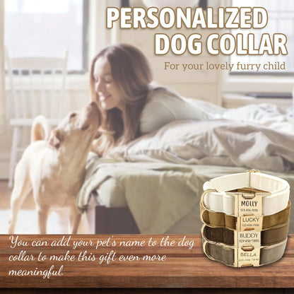 Personalized Collar
