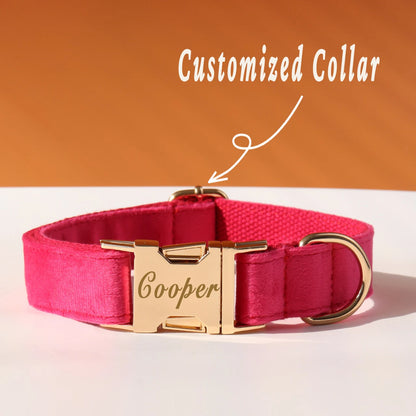 Personalized Collar