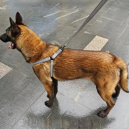 Reflective Harness