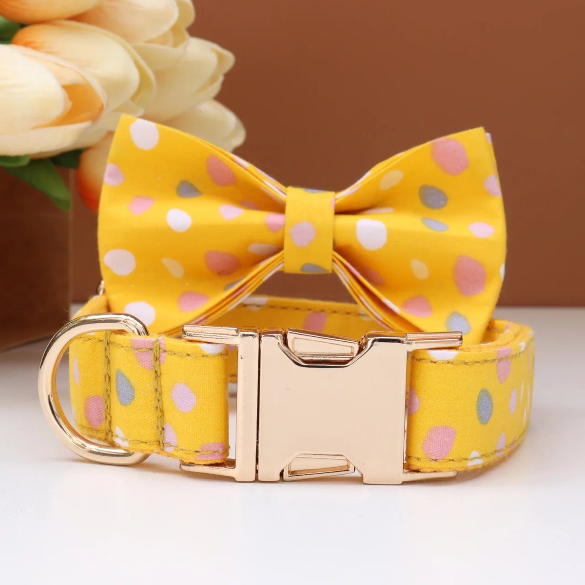 Custom Collar & Leash