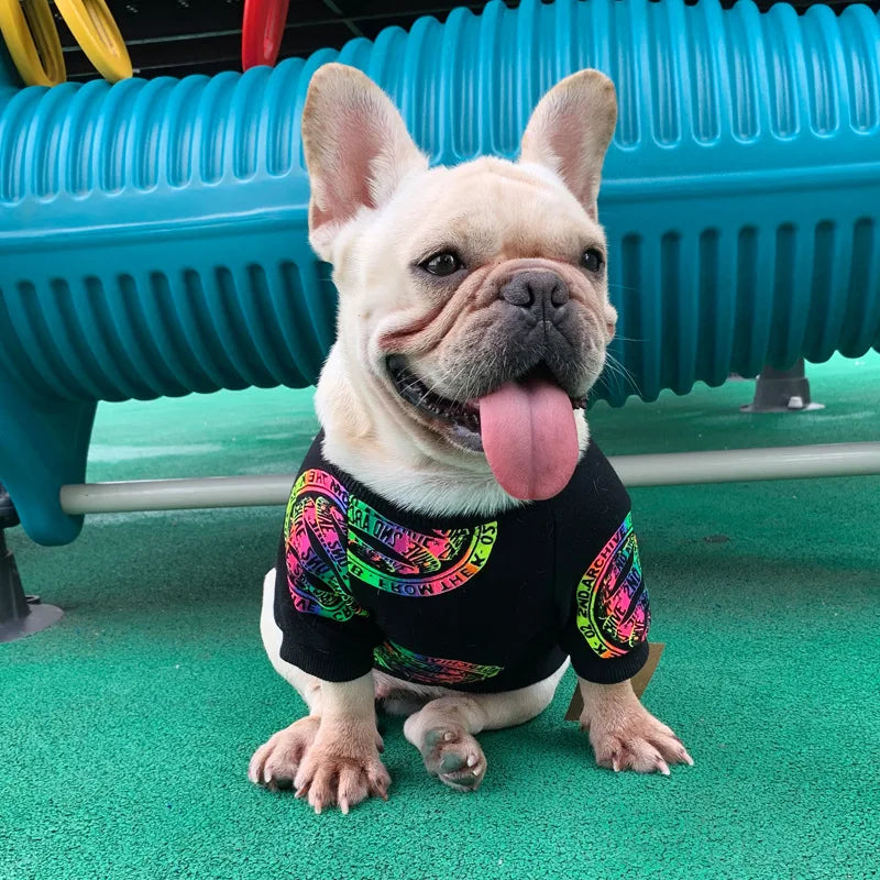 Matching Human And Dog Outfit