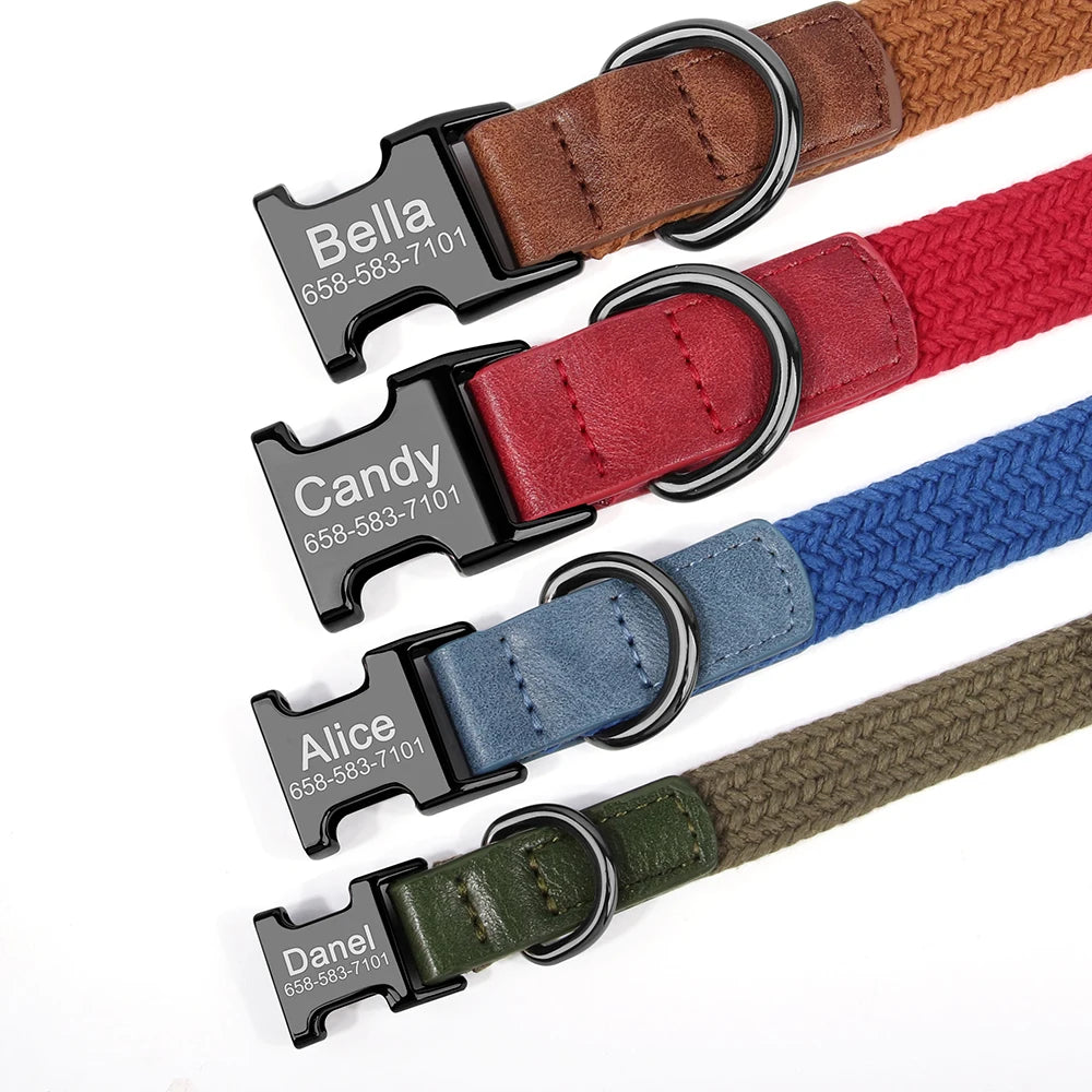 Custom Collar
