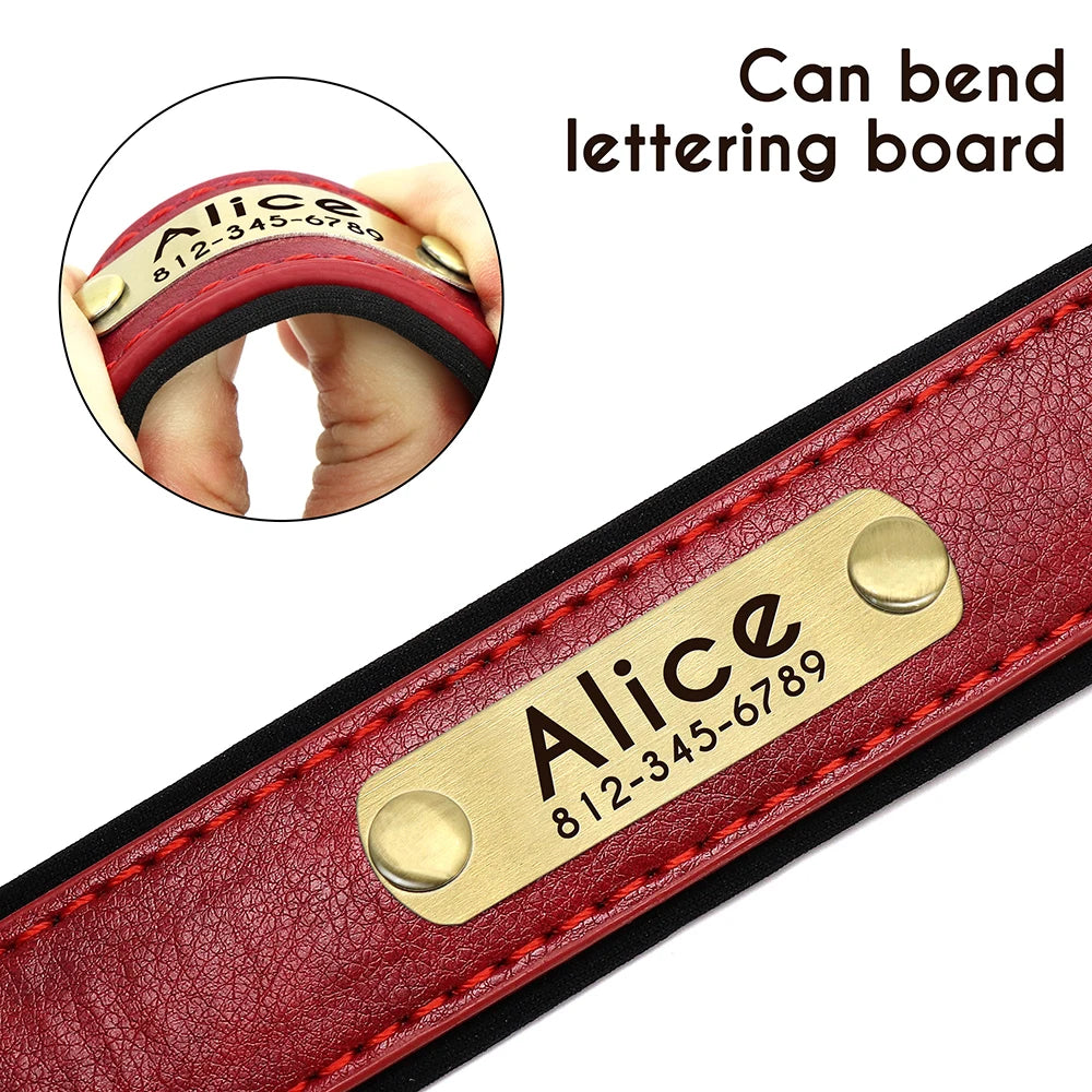 Leather Collar