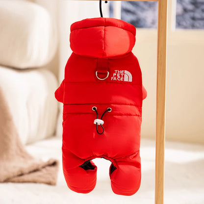 The Dog Face Jacket