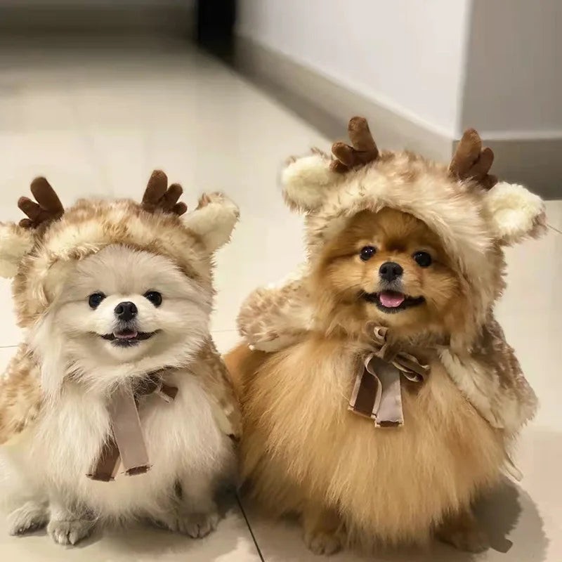 Festive ELK Cape