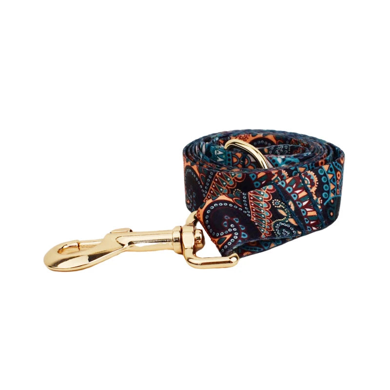 Ethnic Collar & Leash