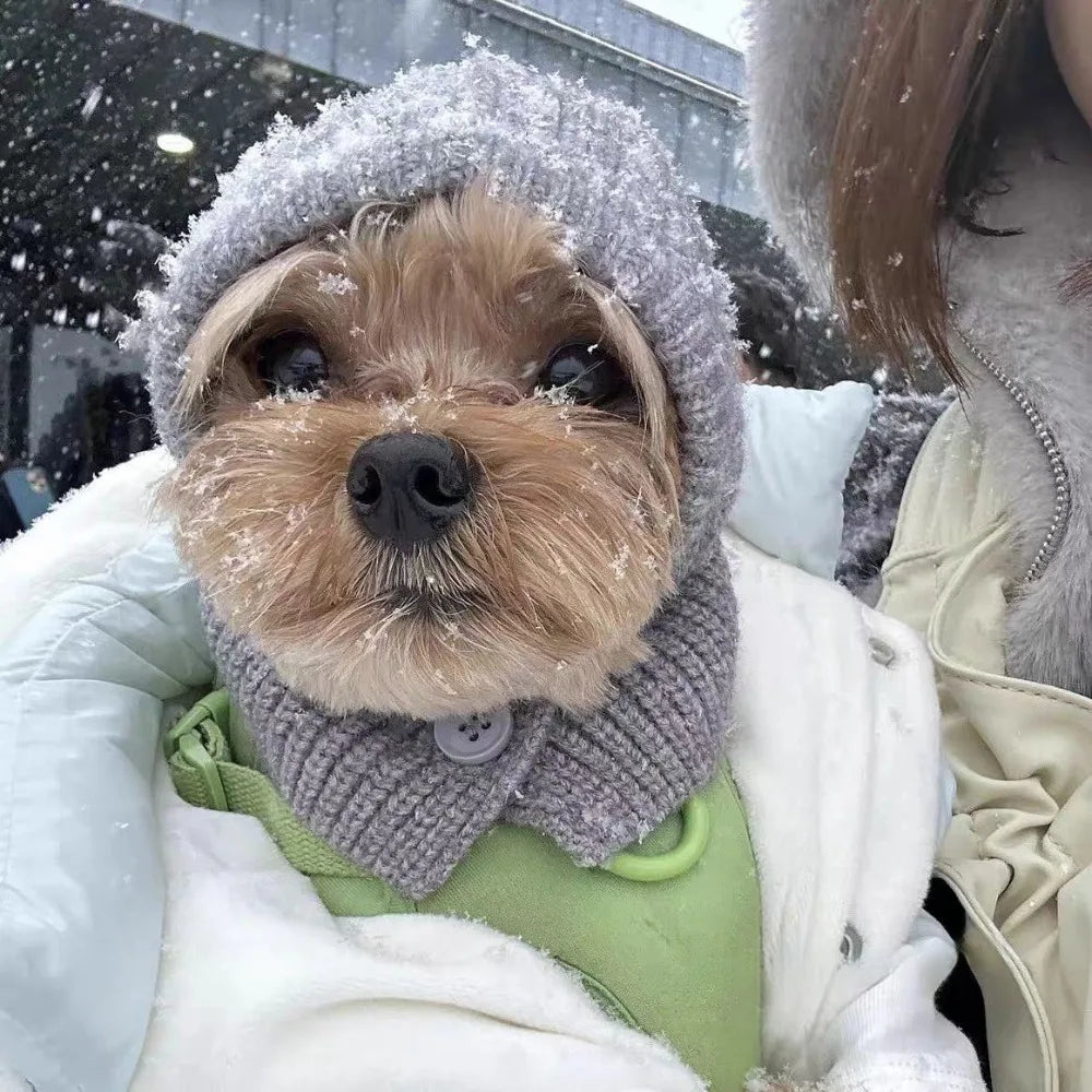 Cozy Bear Hat