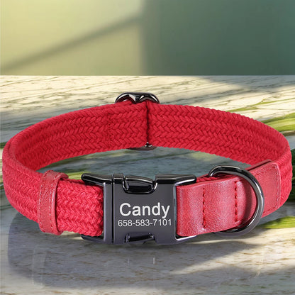 Custom Collar