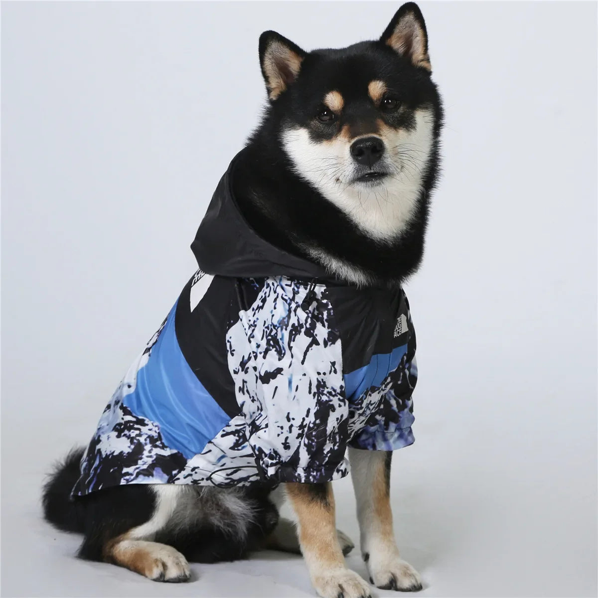 The Dog Face Jacket