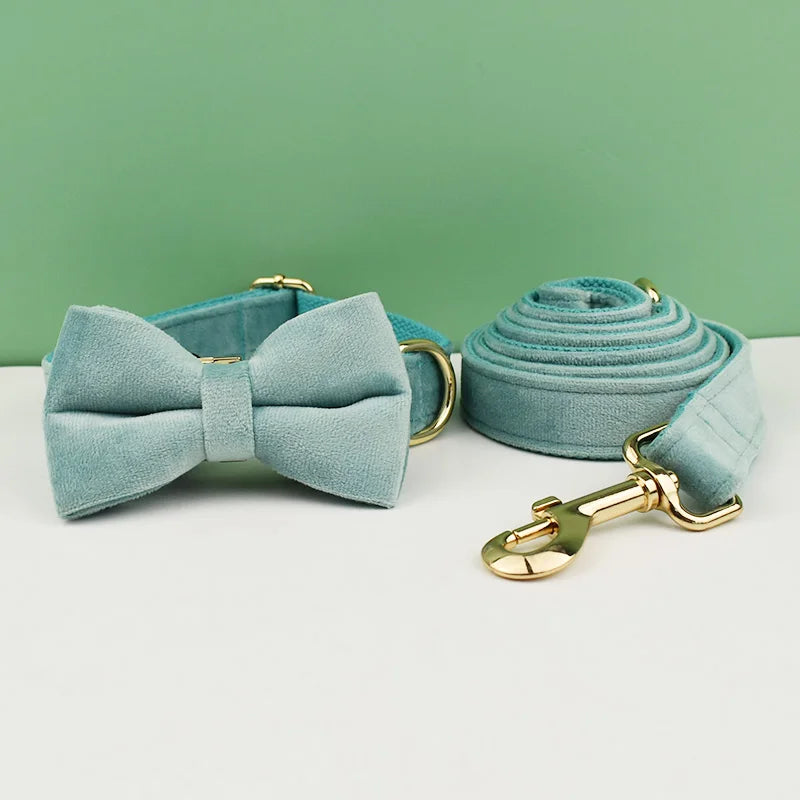 Adjustable Collar & Leash