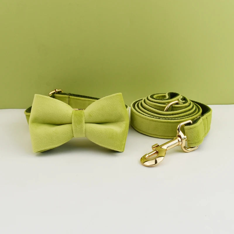 Adjustable Collar & Leash