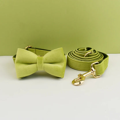 Adjustable Collar & Leash