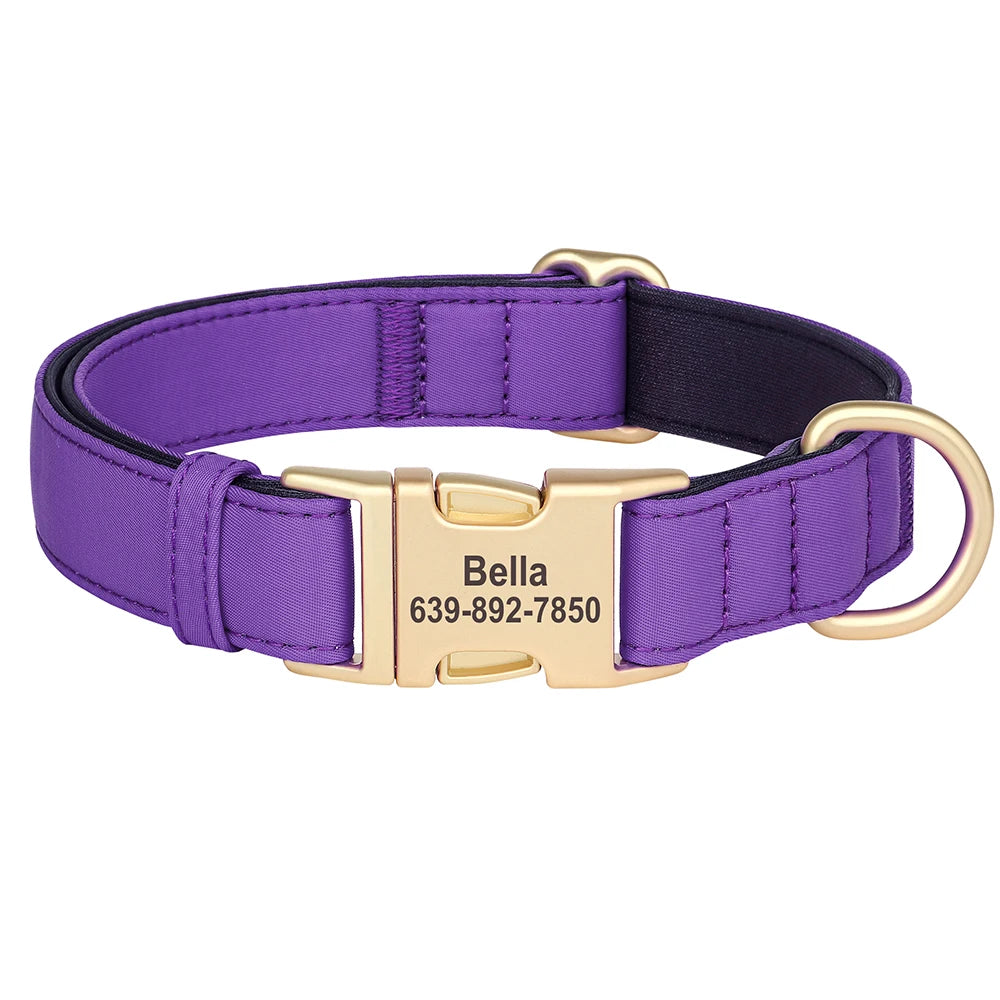 Personalized Nylon Collar